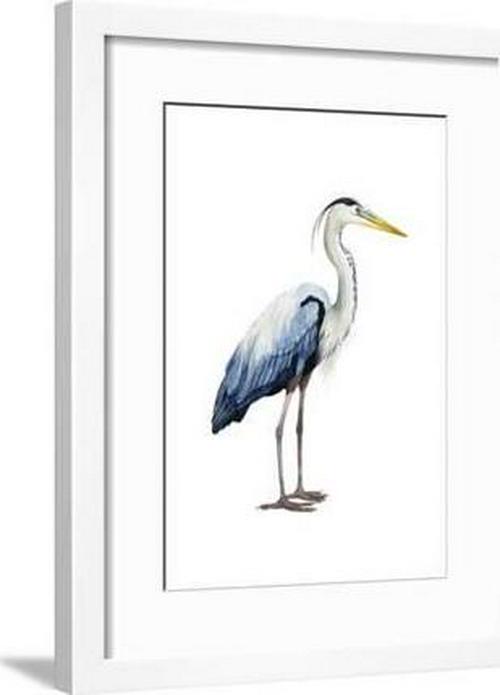 Seabird Heron II， Animals Framed Art Print Wall Art by Grace Popp Sold by Art.Com