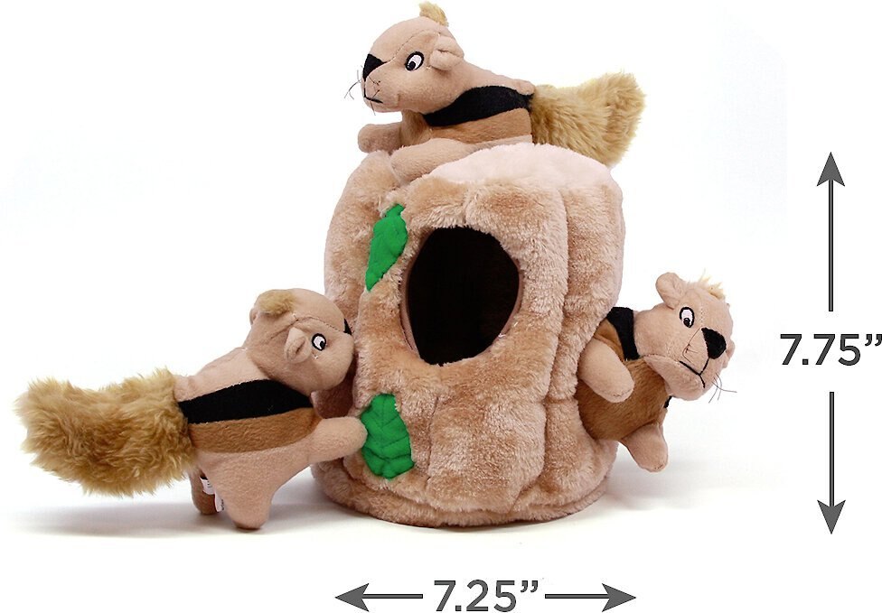 Outward Hound Hide A Squirrel Squeaky Puzzle Plush Dog Toy