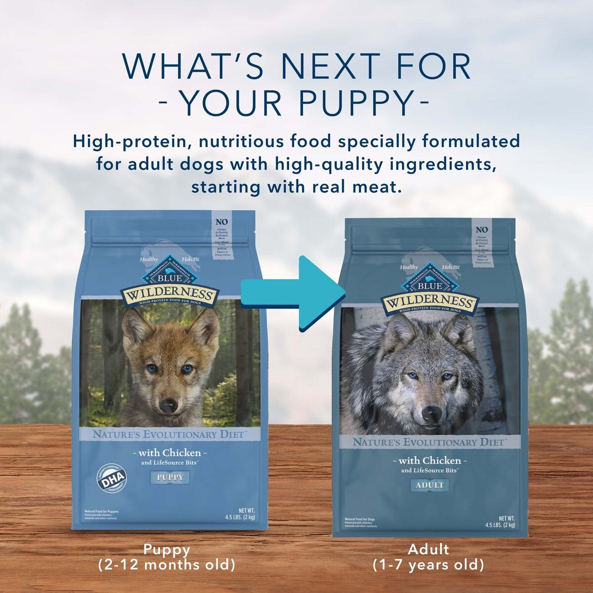 Blue Buffalo Wilderness Large Breed Puppy Chicken Recipe Grain-Free Dry Dog Food