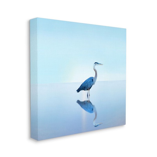 Stupell Industries Beach Heron Ocean Bird Animal Photograph