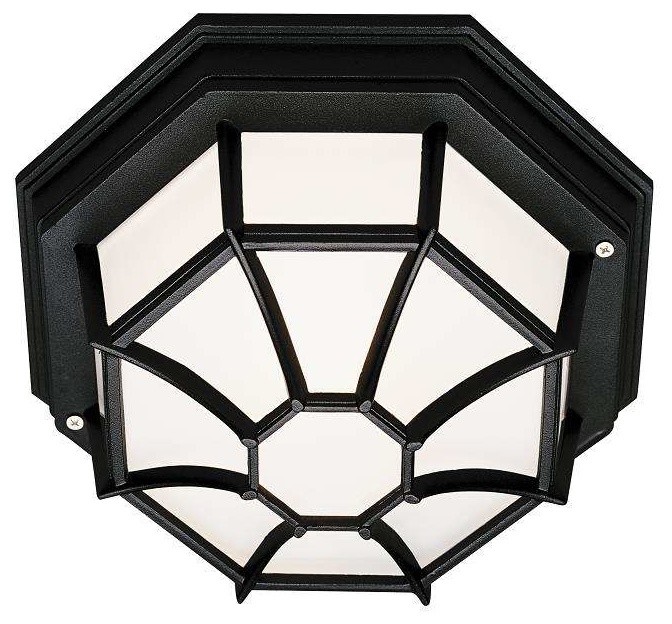 Benkert 1 Light Flushmount Lantern   Traditional   Outdoor Flush mount Ceiling Lighting   by Mylightingsource  Houzz