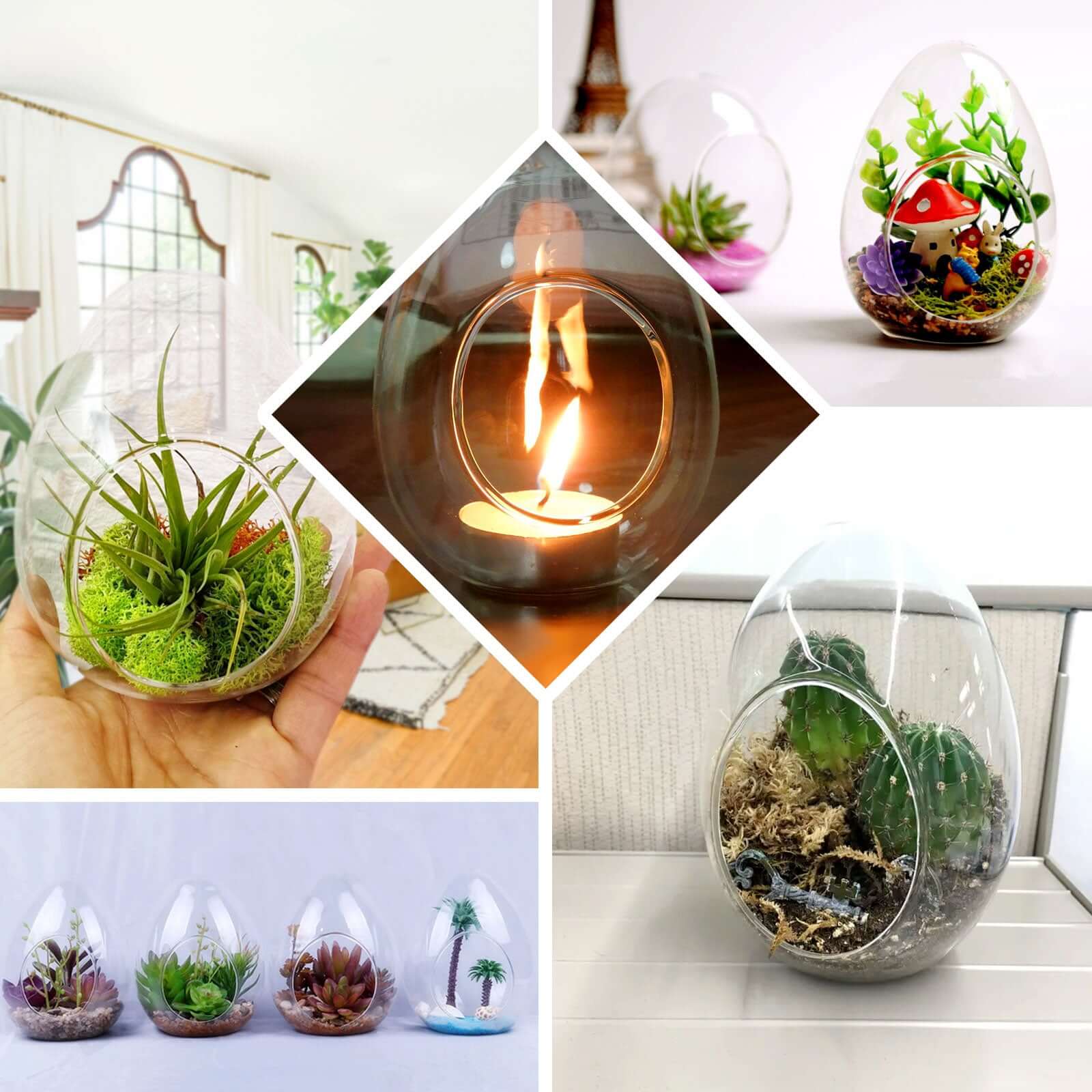 6 Pack Air Plant Glass Egg Shaped Terrarium Self Standing Planter 5