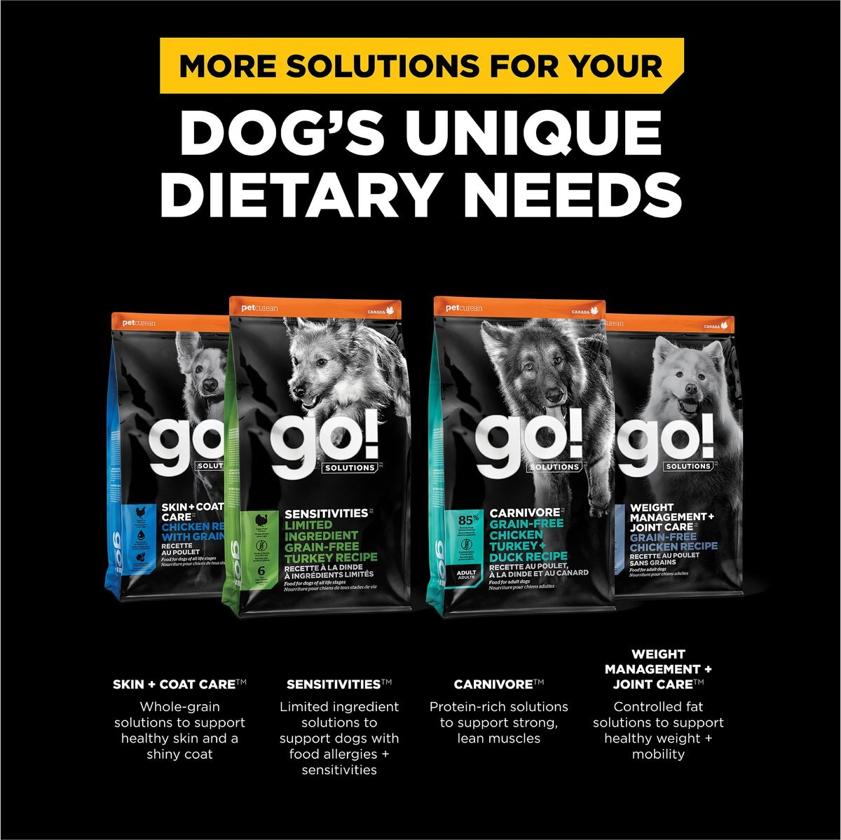 Go! Solutions Digestion + Gut Health Ancient Grains Salmon Recipe Dry Dog Food