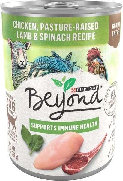 Purina Beyond Grain-Free Chicken， Lamb and Spinach Recipe Ground Entree Canned Dog Food