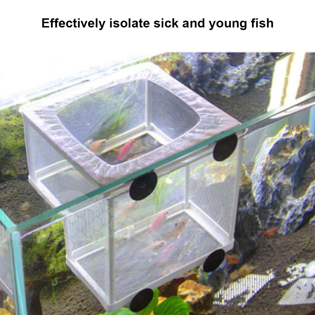 1PC Injured Fish Breeding Incubator Net Hanging Fish Hatchery Isolation Box For Aquarium Accessory Separate Isolation Supplies  M