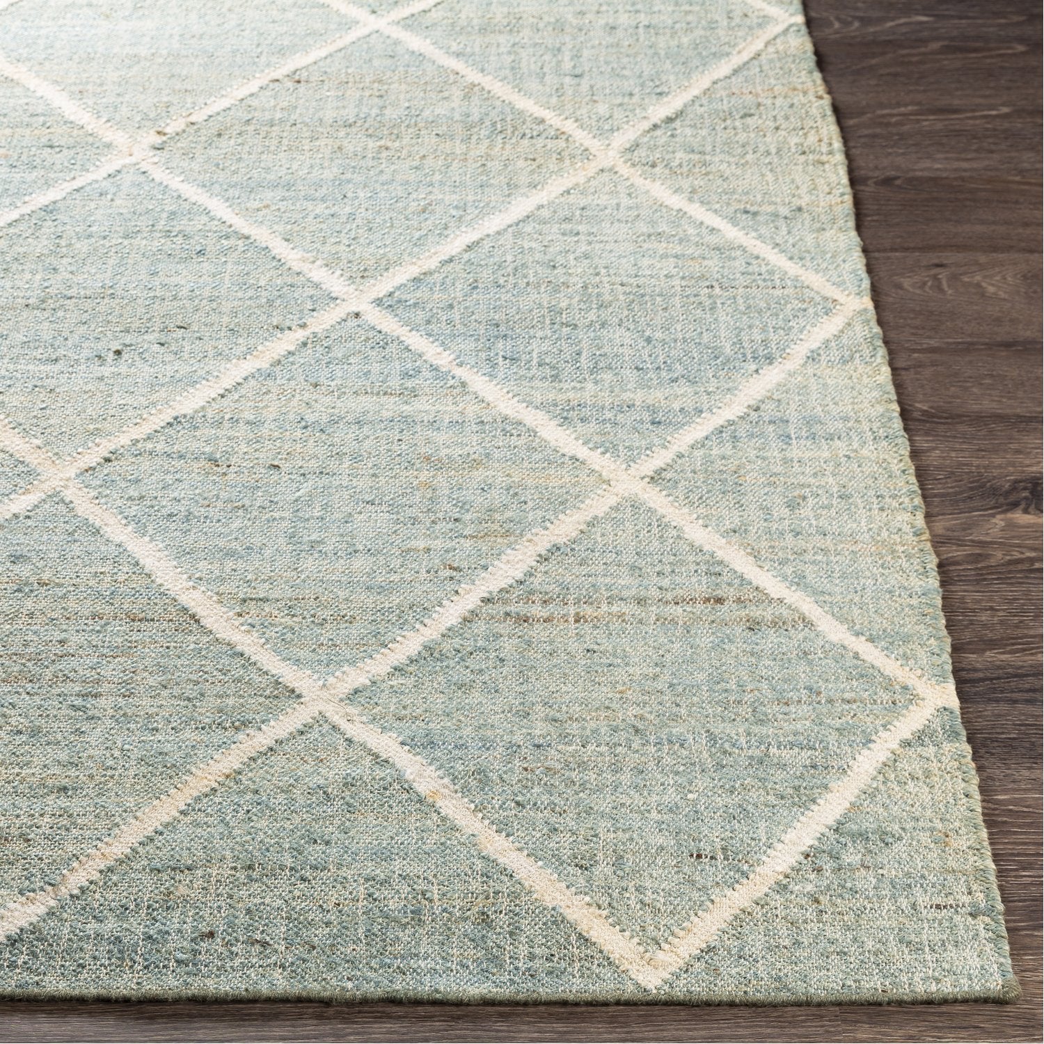 Cadence Hand Woven Rug in Sage, Ice Blue