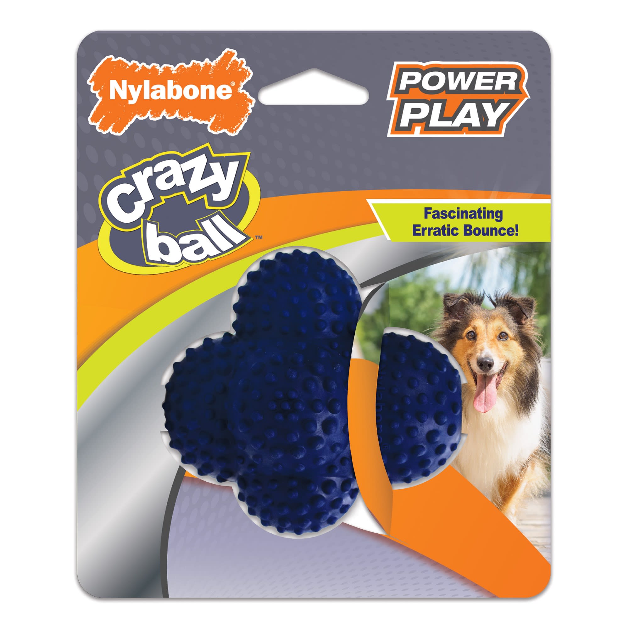 Nylabone Power Play Crazy Ball Dog Toy， Large