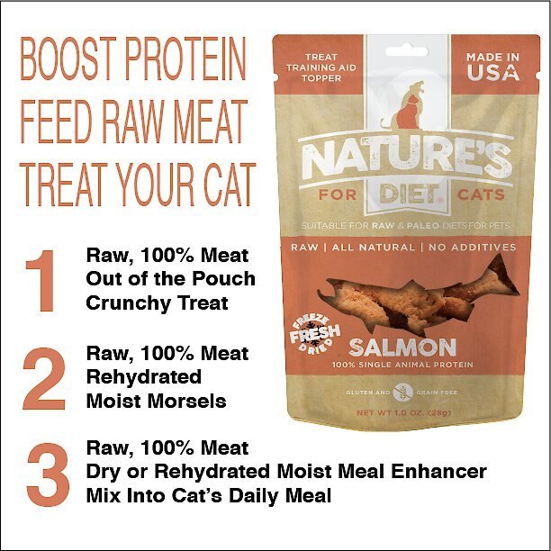 Nature's Diet Salmon Raw Freeze-Dried Cat Treats， 1-oz pouch