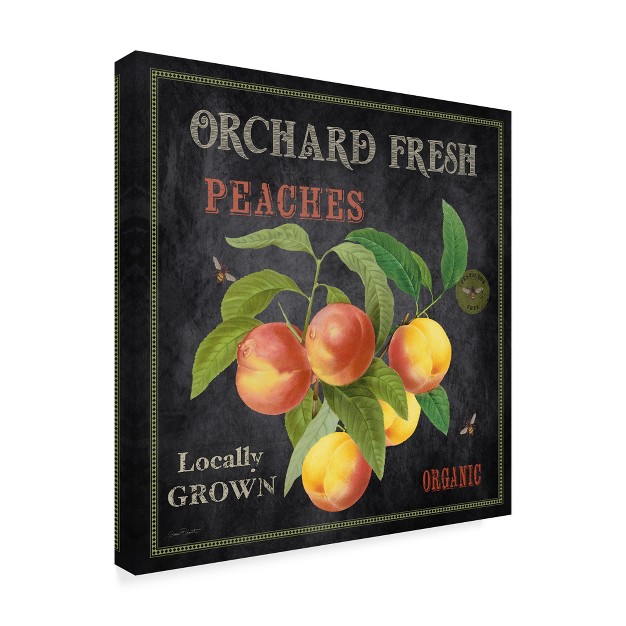 Trademark Fine Art jean Plout x27 orchard Fresh Peaches x27 Canvas Art