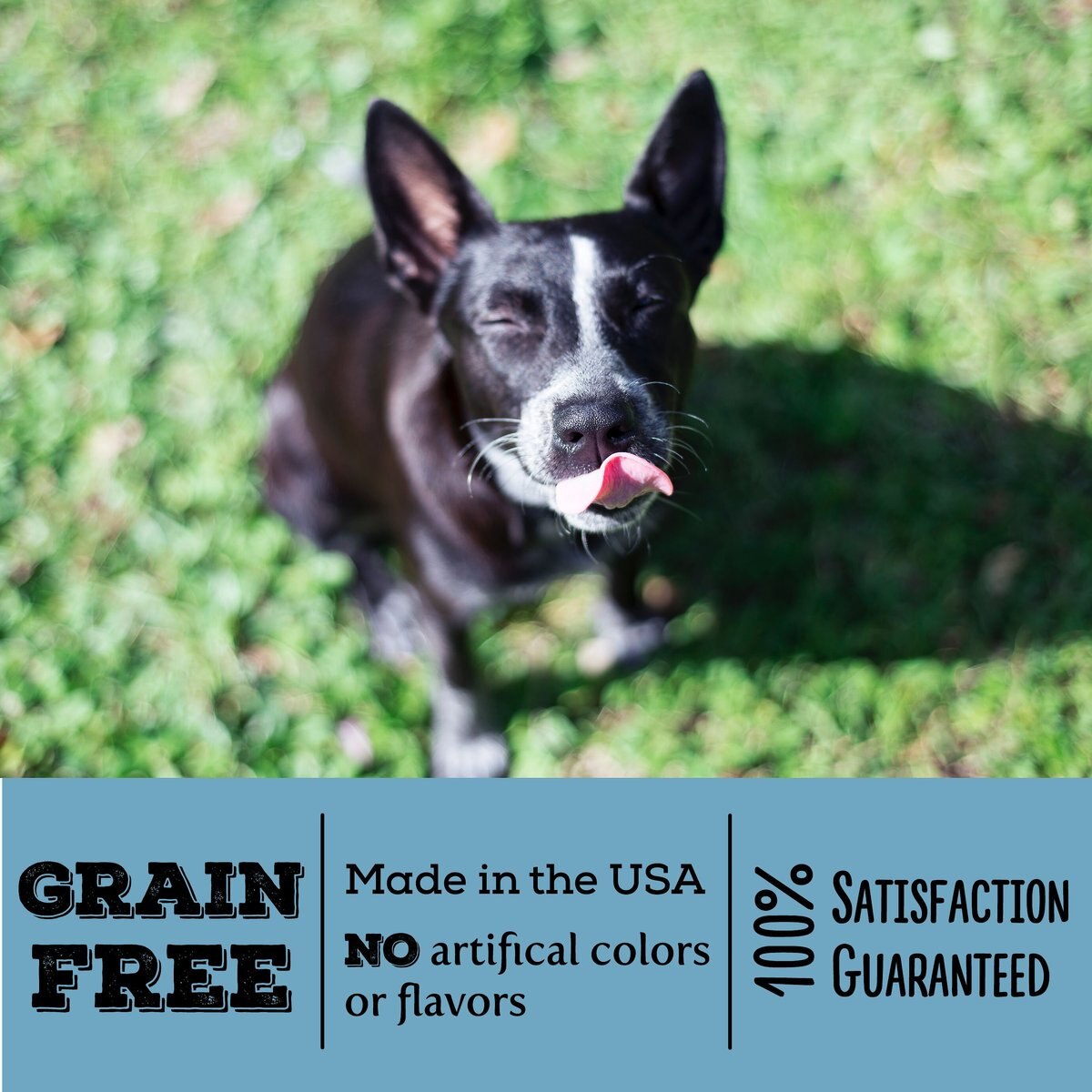 Exclusively Dog Mini Fido's Food Truck Grain-Free Dog Treats