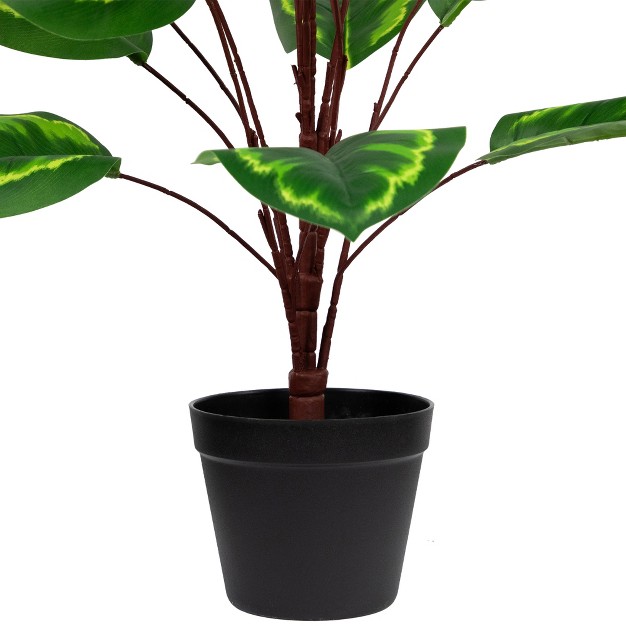 Two tone Green Calathea Artificial Potted Plant