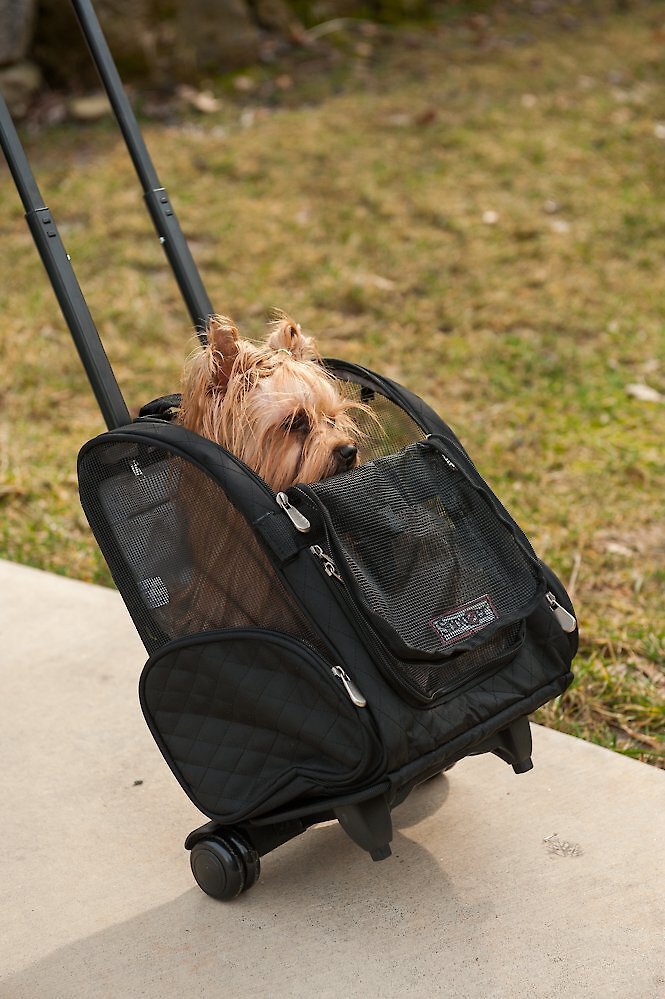 Snoozer Pet Products Roll Around 4-in-1 Travel Dog and Cat Carrier Backpack