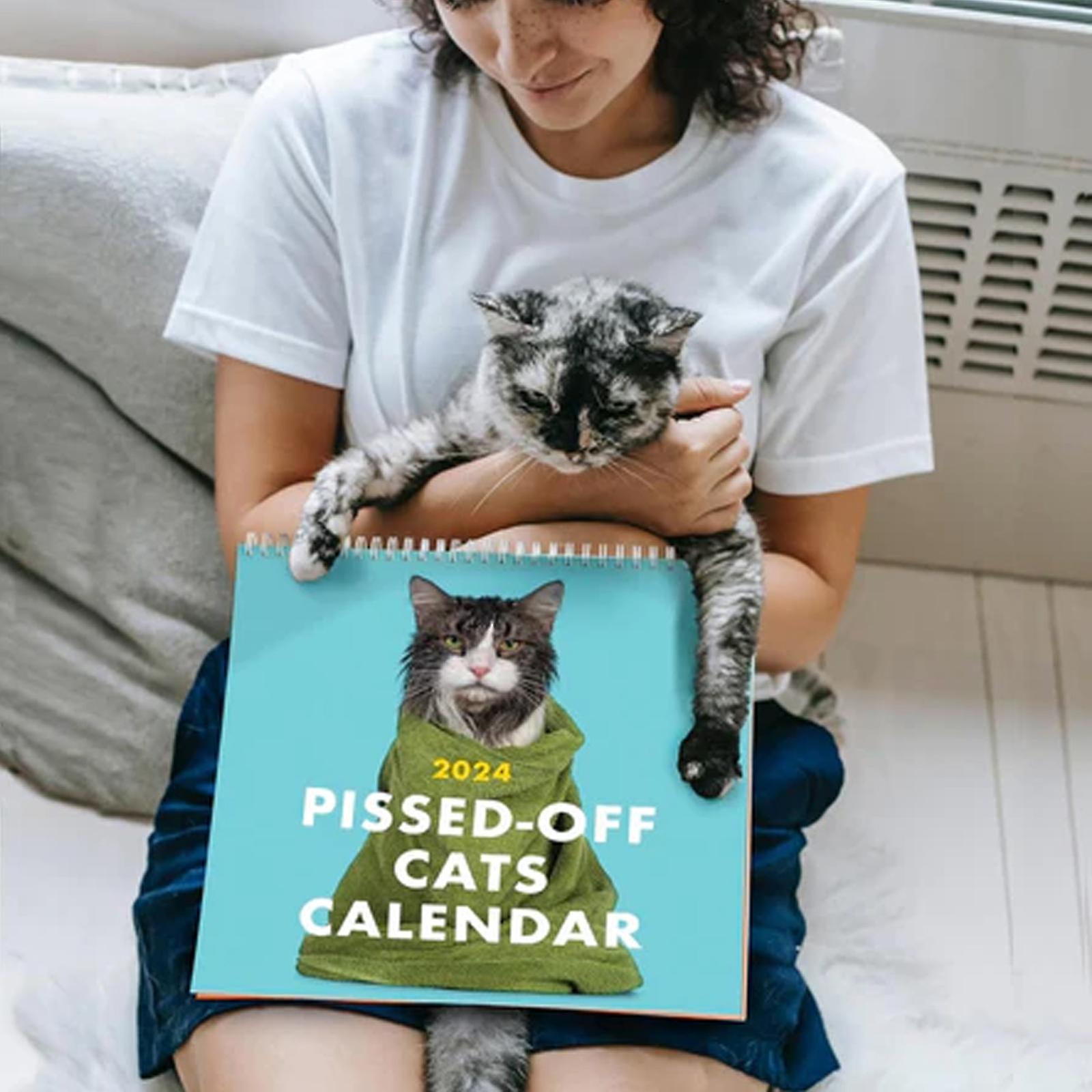 2024 Pissed-off Cats Calendar - Funny， Sassy Holiday Gift For Cat Lovers