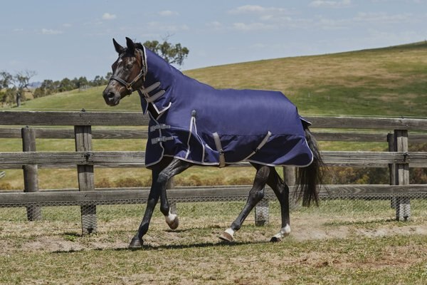 WeatherBeeta Comfitec Essential Combo Neck Medium Horse Blanket