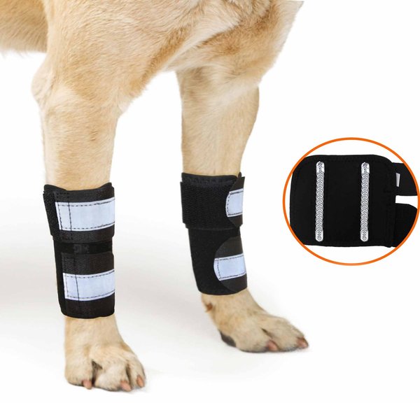 NeoAlly Front Leg Metal Spring Support Dog Brace