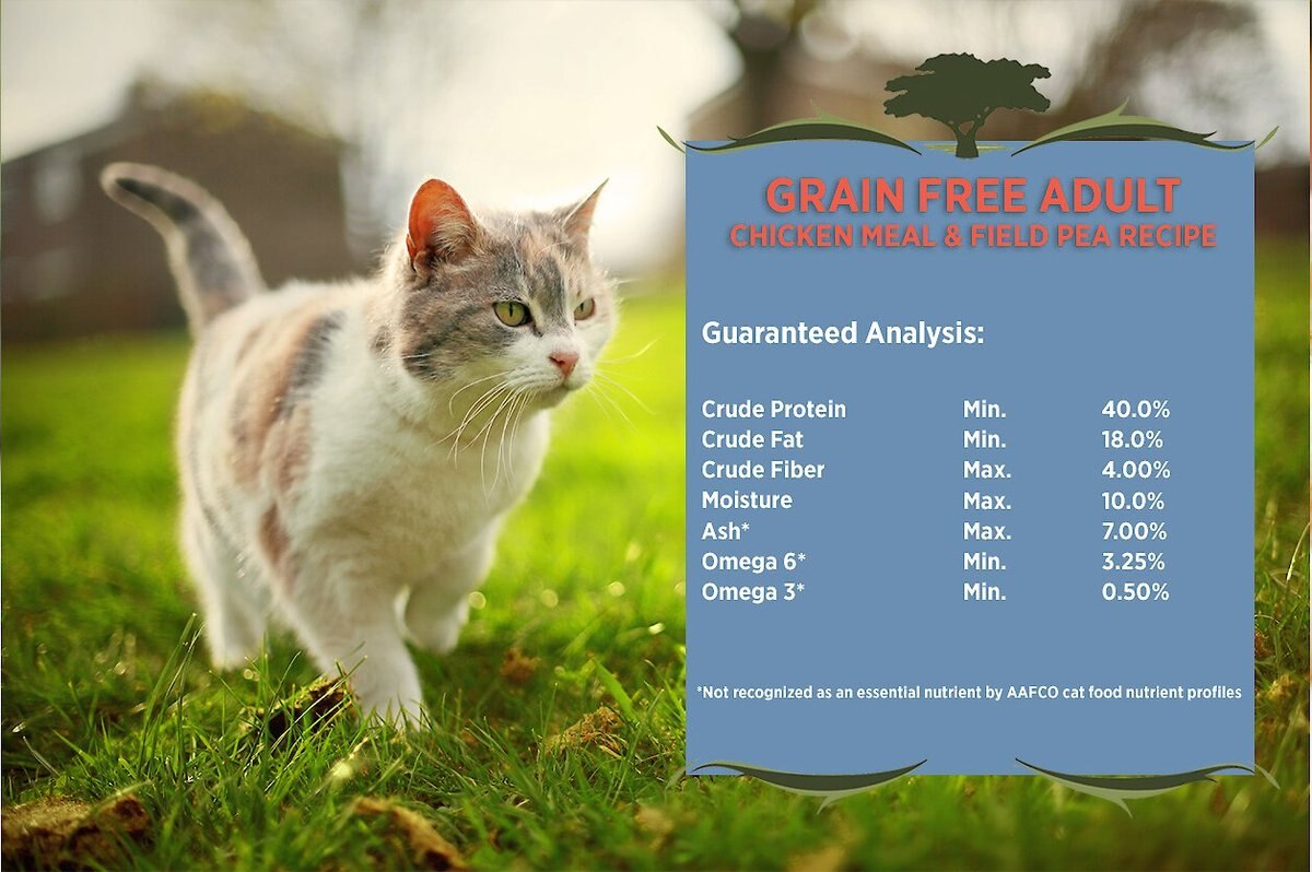 Blackwood Chicken Meal and Field Pea Recipe Grain-Free Dry Cat Food