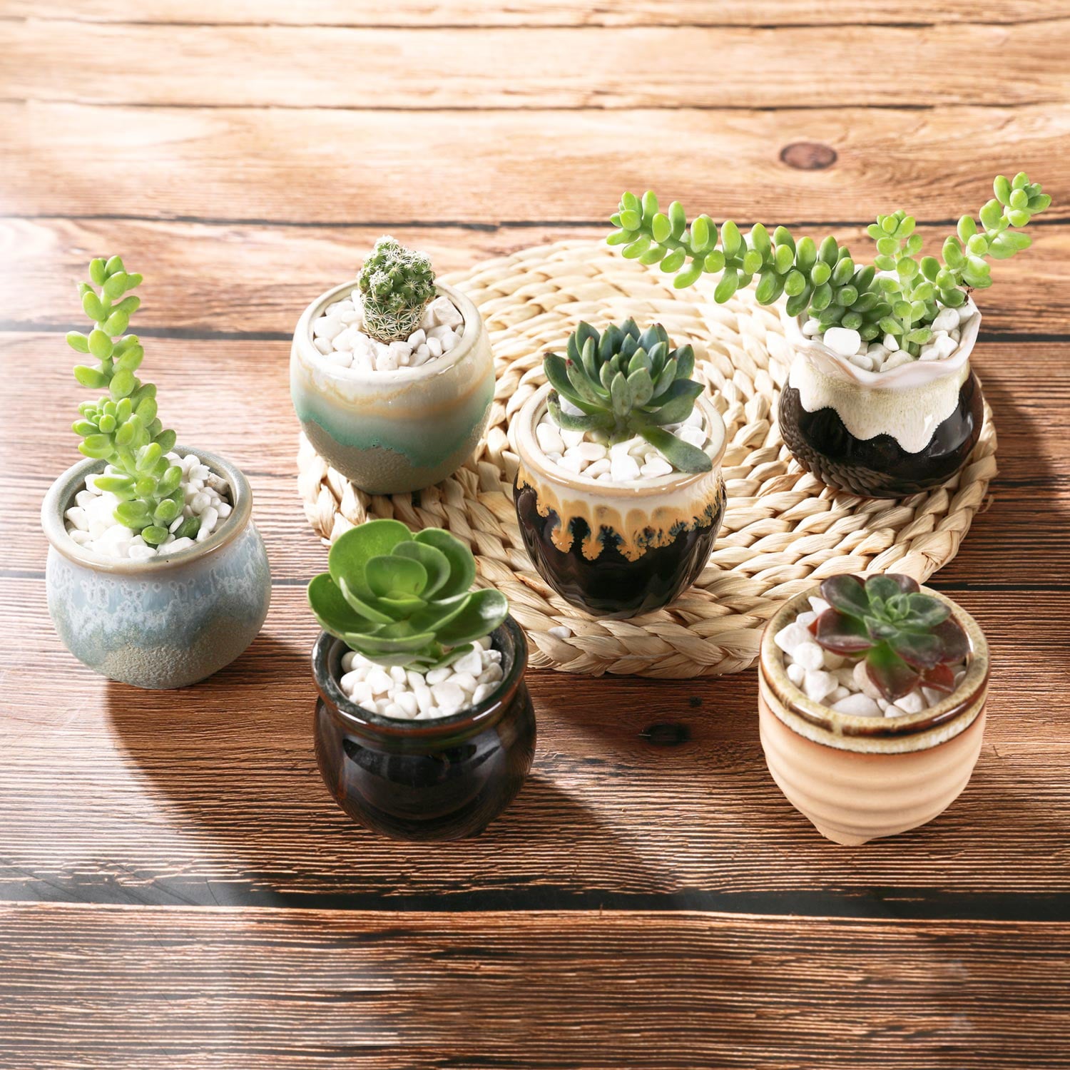 T4U Small Ceramic Succulent Pots Cactus Planter Pots with Multi-Color for Home and Office Decor, Set of 6