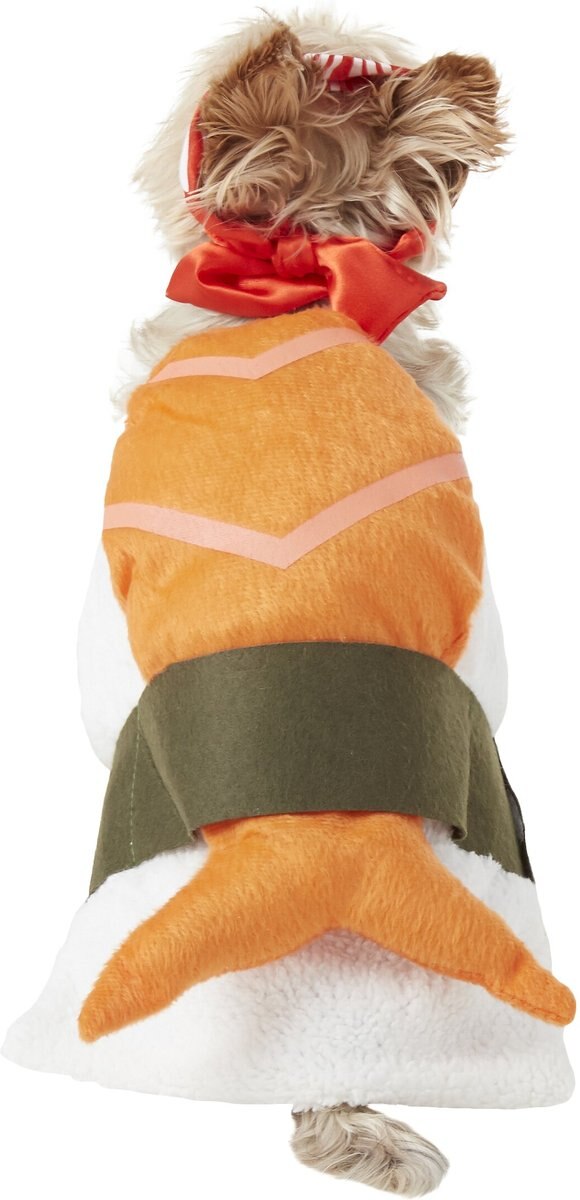 Rubie's Costume Company Sushi Dog and Cat Costume