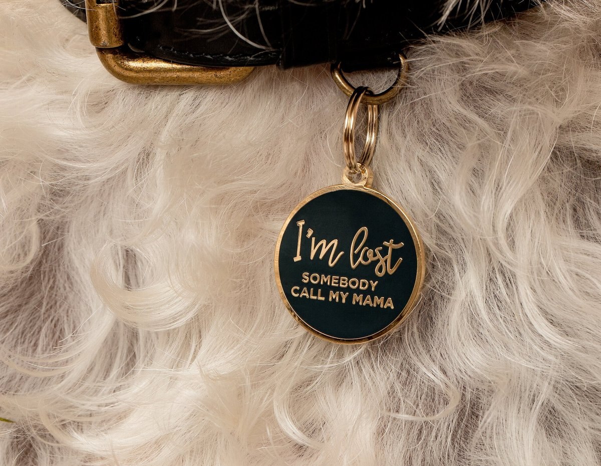 Two Tails Pet Company Personalized I'm Lost Dog and Cat ID Tag