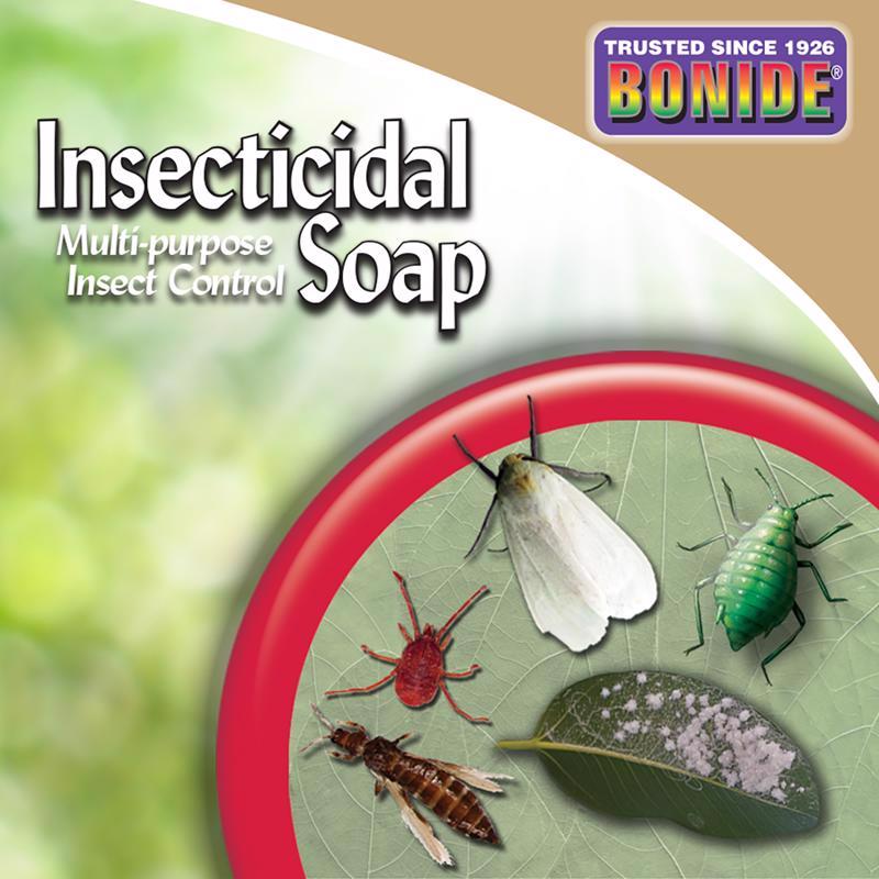 INSECTICIDE SOAP RTU QT