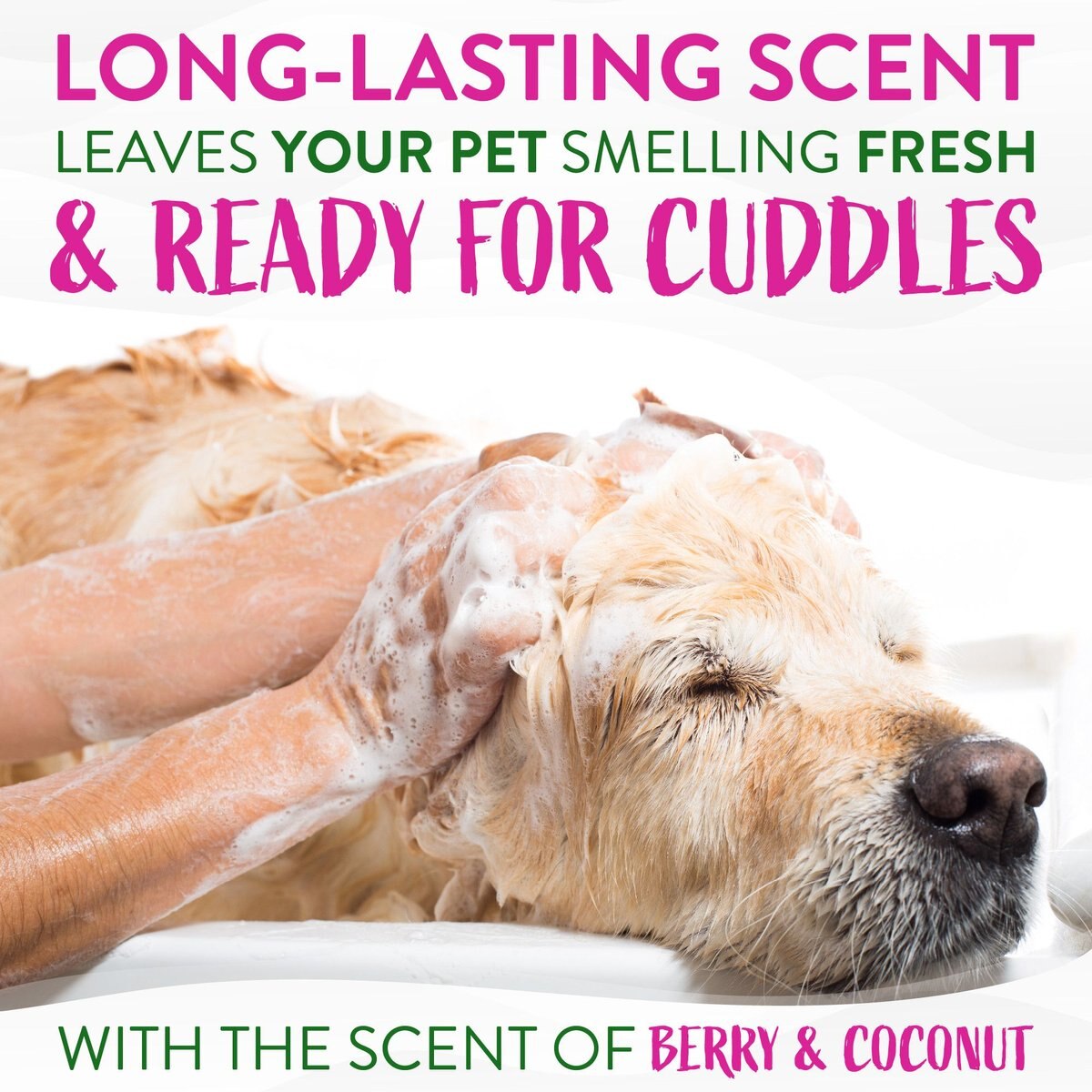 TropiClean Deep Cleaning Berry and Coconut Dog and Cat Shampoo