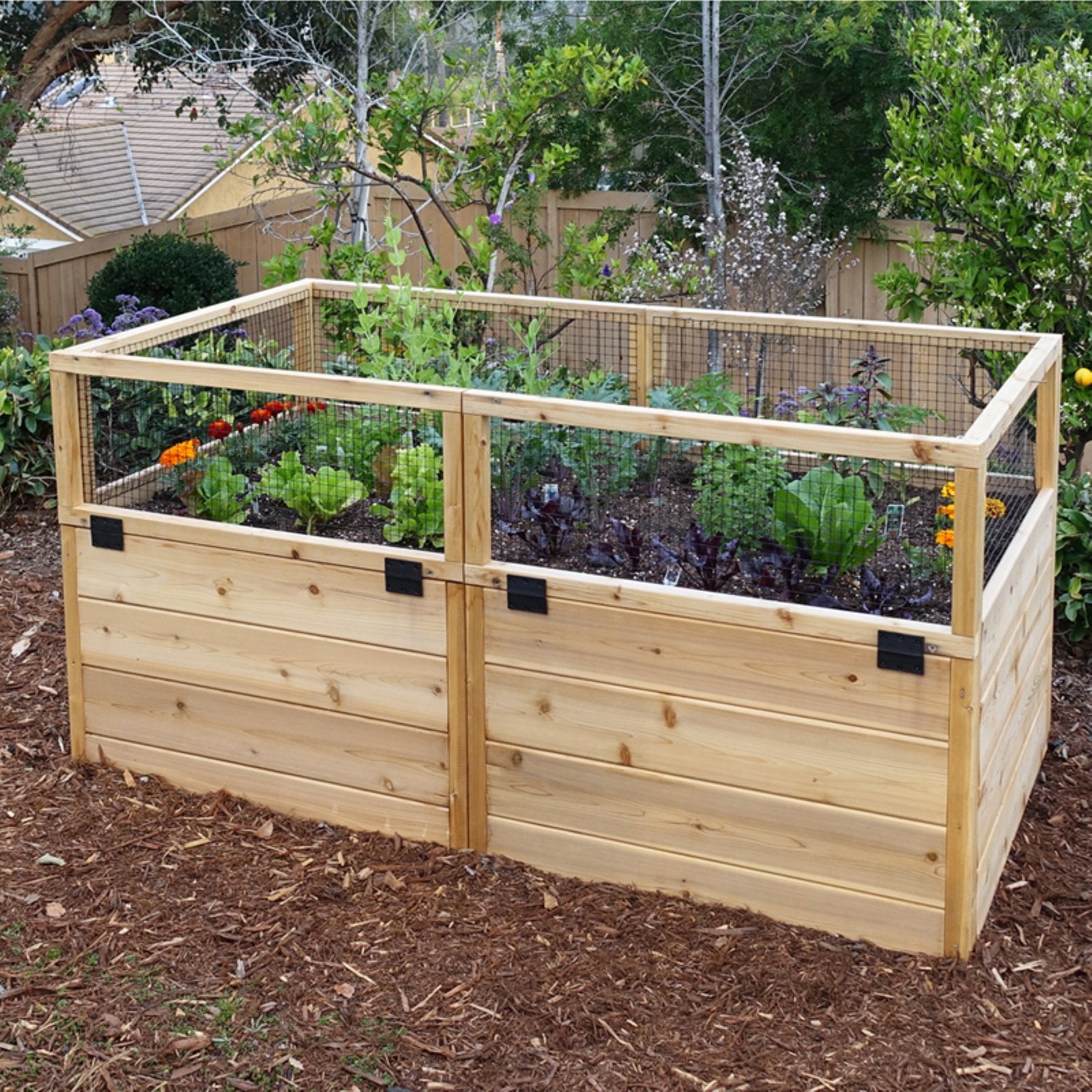 Outdoor Living Today Raised Cedar Garden Bed - 6 x 3 ft.