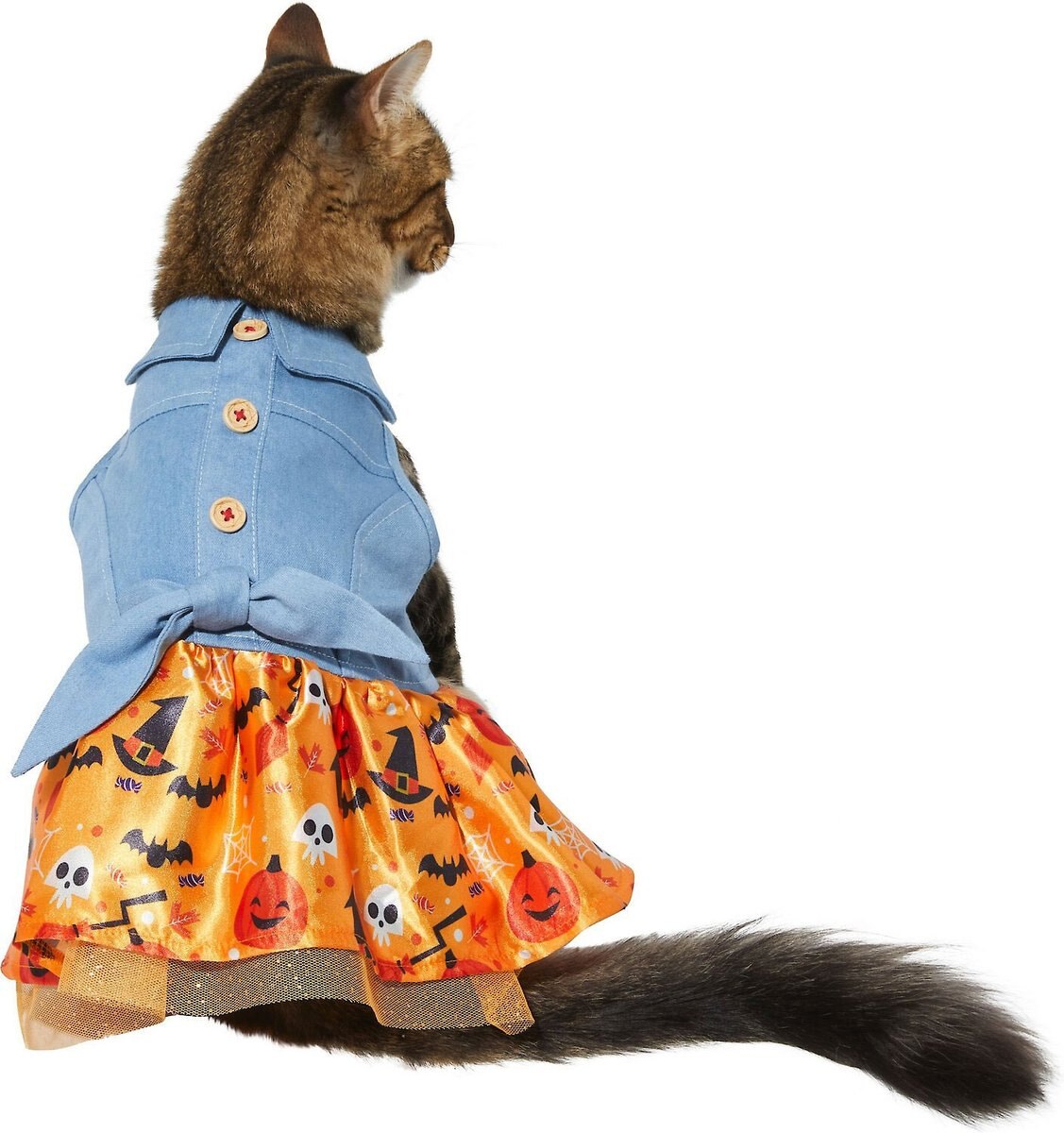 Frisco Chambray Halloween Dog and Cat Dress