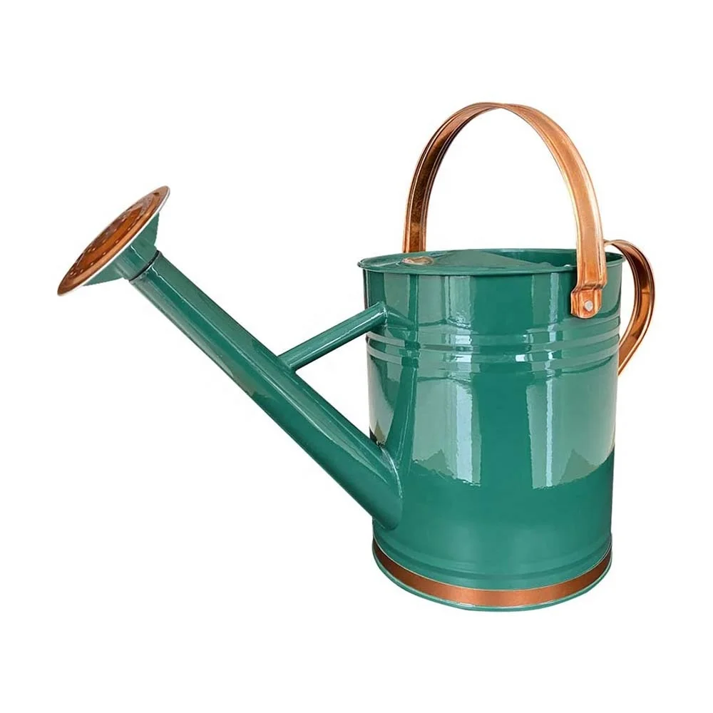 Green   Rose Gold Watering Can Indoor Outdoor Pot for Home Gardening Plants Watering Customize Auto Steel Stainless Tinting