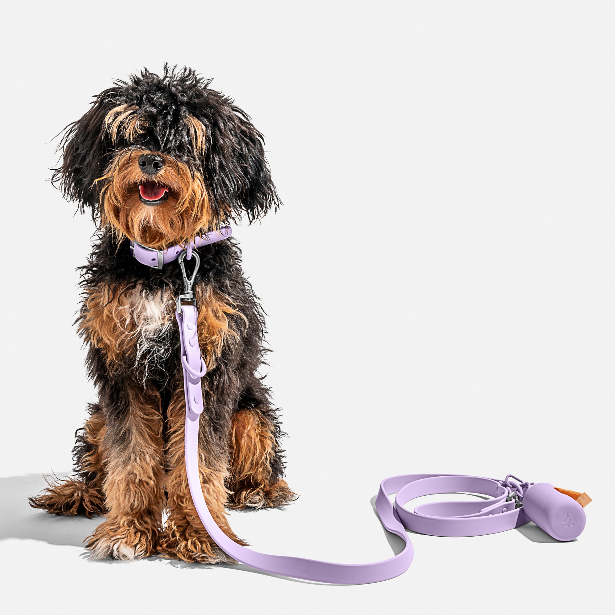 Wild One Lilac Dog Leash， 54