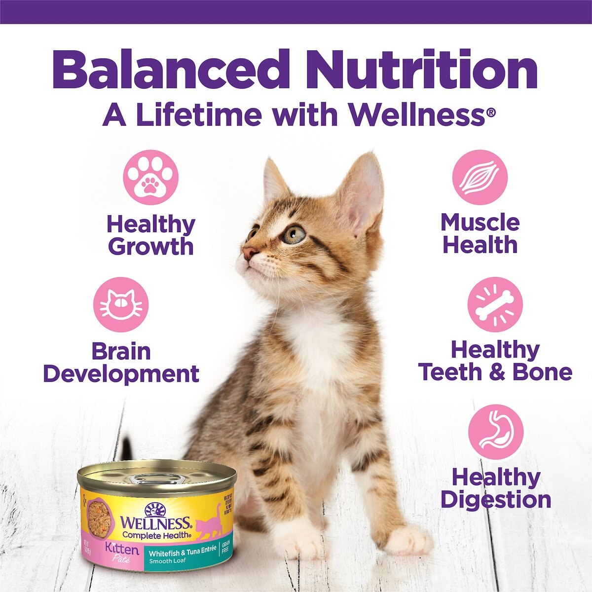 Wellness Complete Health Kitten Whitefish and Tuna Formula Grain-Free Canned Cat Food， case of 24