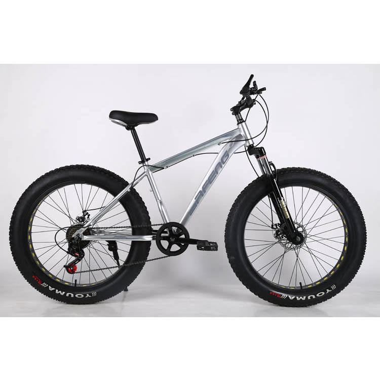 2023 Aluminum alloy frame High Speed Mountain Bike Fat Tire bicycle For Snow bike  Beach Bike With high quality and best price