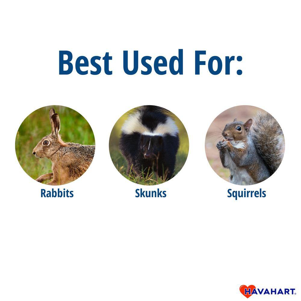 Havahart Small 1-Door Easy Set Live Animal Cage Trap for Squirrel and Rabbit 1083