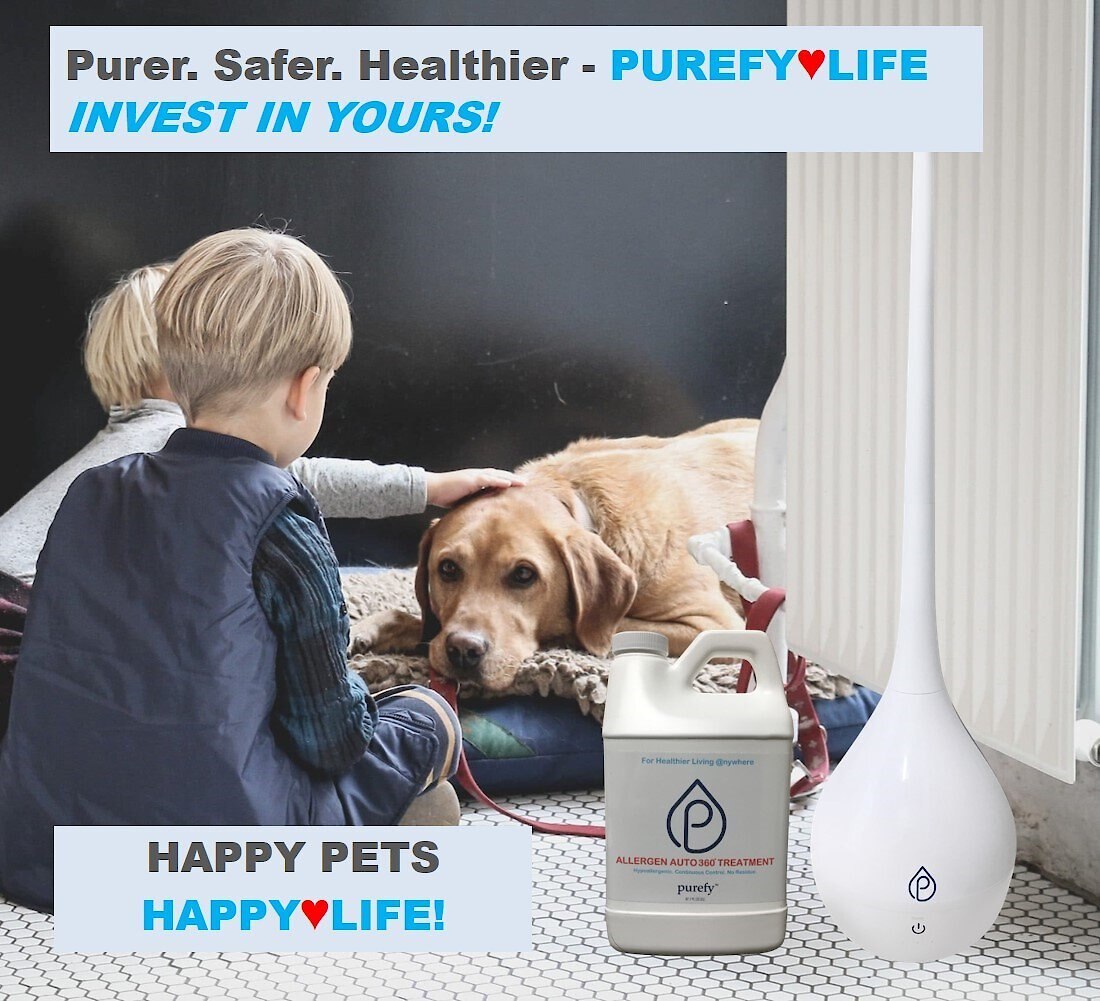 Purefy Allergen Auto 360 Machine and Treatment Solution