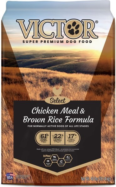 VICTOR Select Chicken Meal and Brown Rice Formula Dry Dog Food