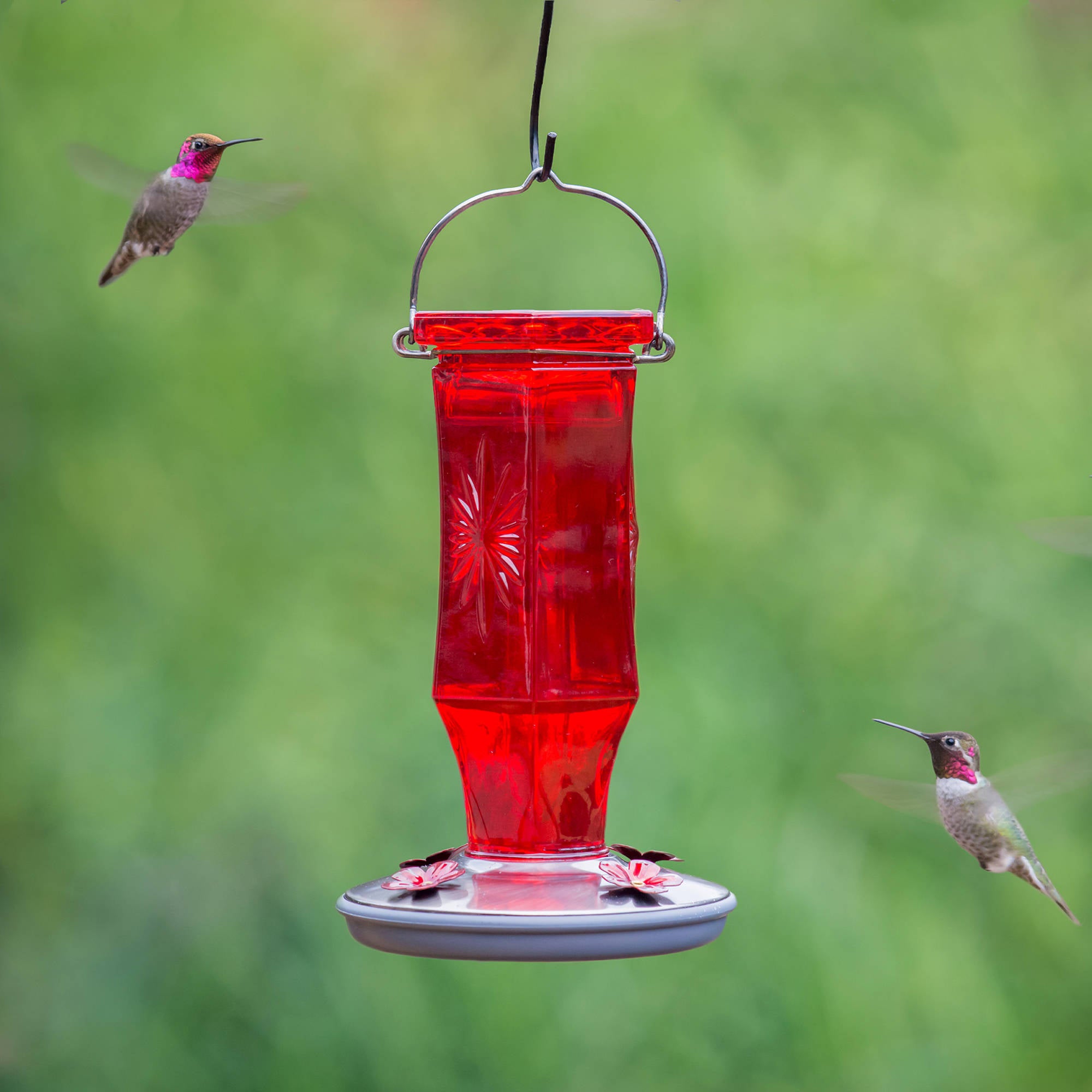 Perky-Pet 16 oz Ruby Starburst Vintage Hummingbird Feeder