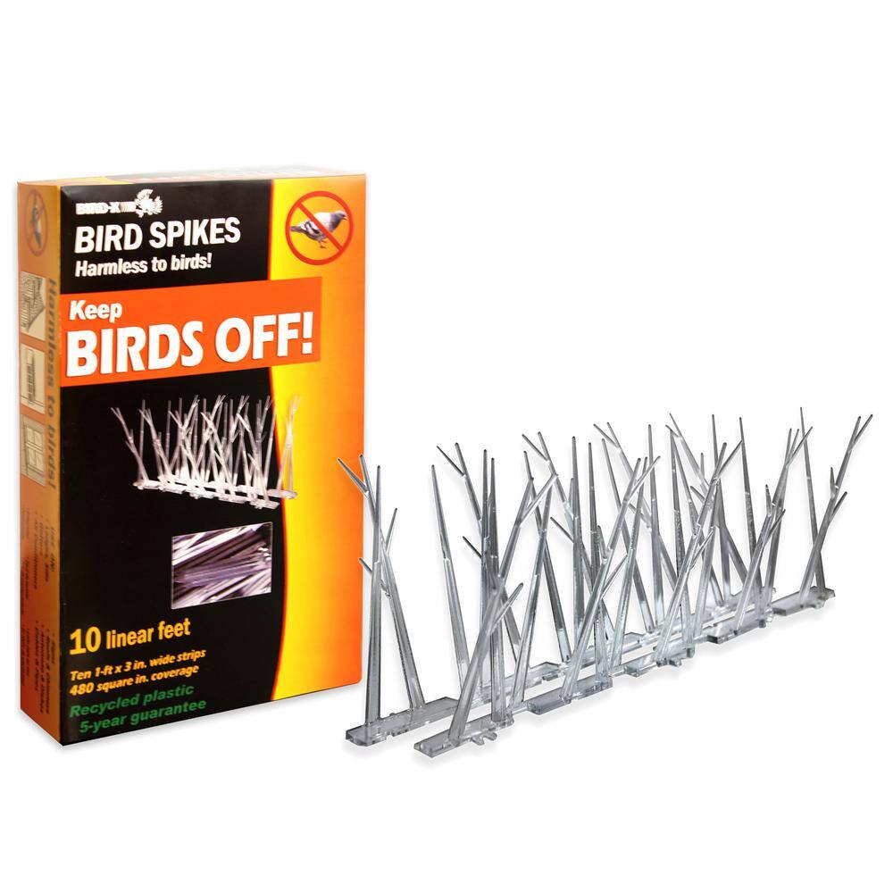 Bird-X 10 ft. Original Plastic Bird Spikes Bird Control Kit SP-10-N