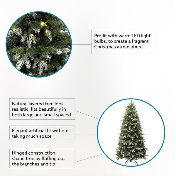 Alberta White Tip Christmas Tree with Lights，Prelit Christmas Tree，Pine Fir with Led Lights，White Painted Tips