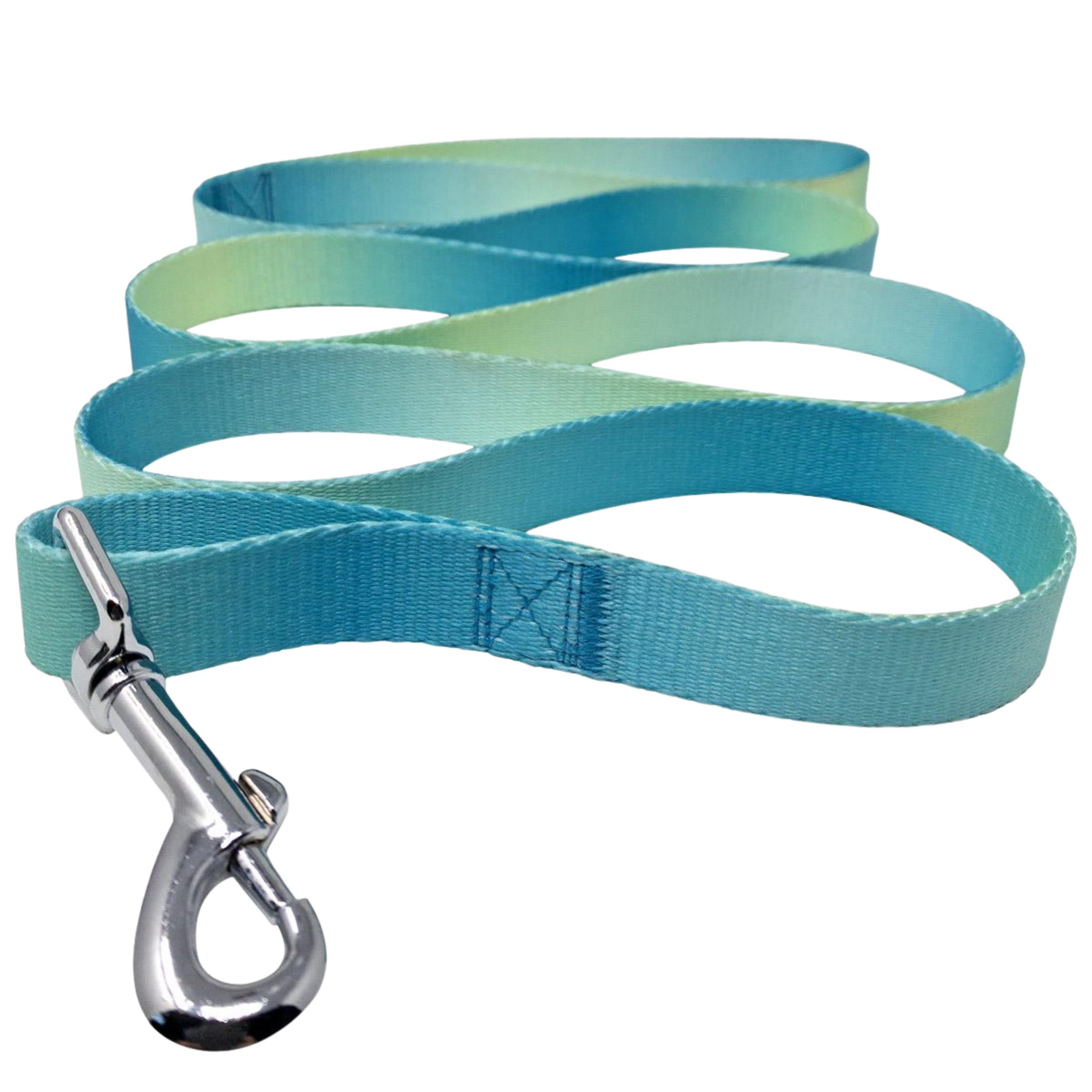 Ombre Leash | Aruba Blue