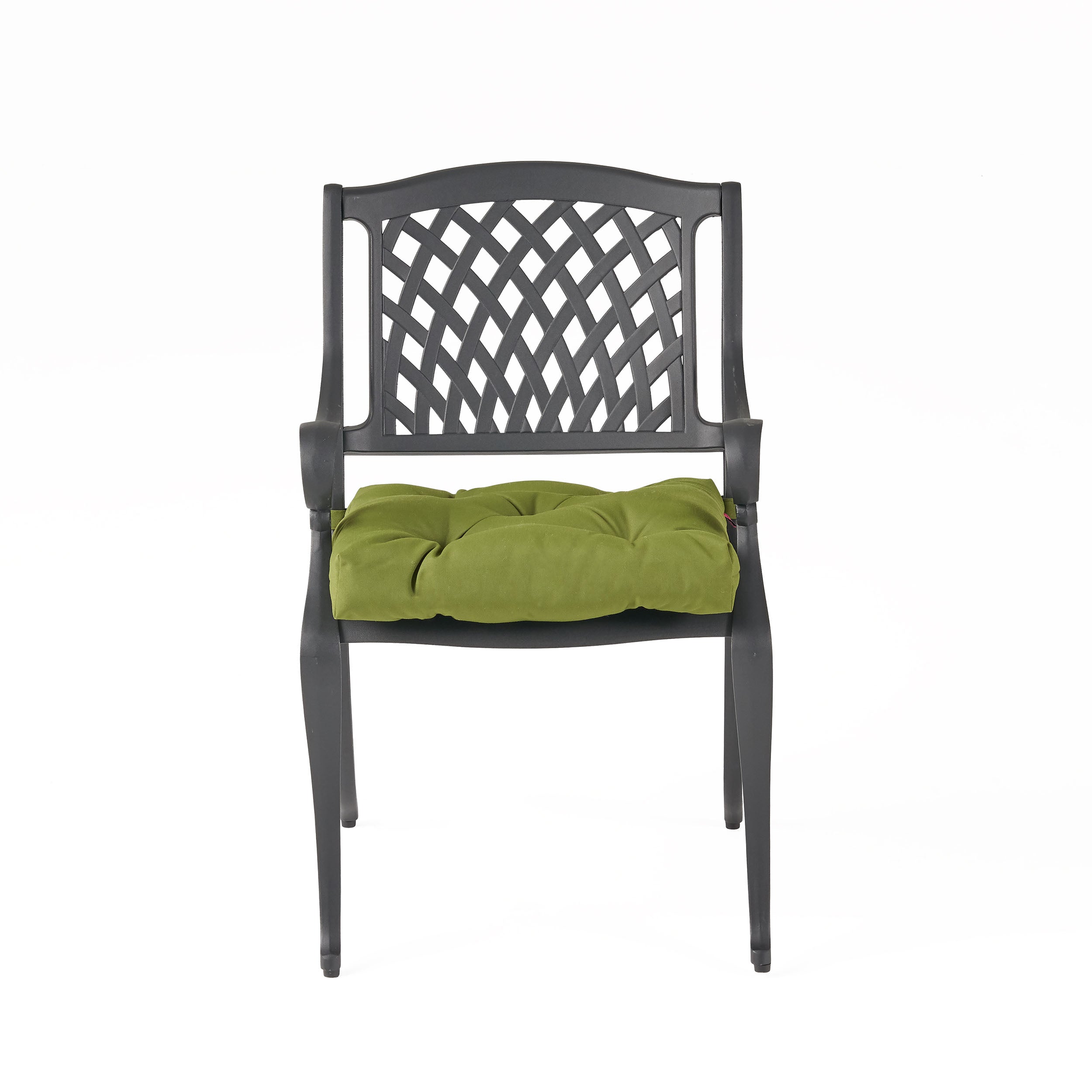 Allee Outdoor Dining Chair with Cushion (Set of 2)