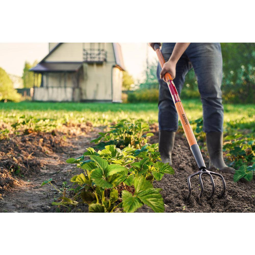 Husky 51 in. L Wood Handle 4-Tine Cultivator 77815-944