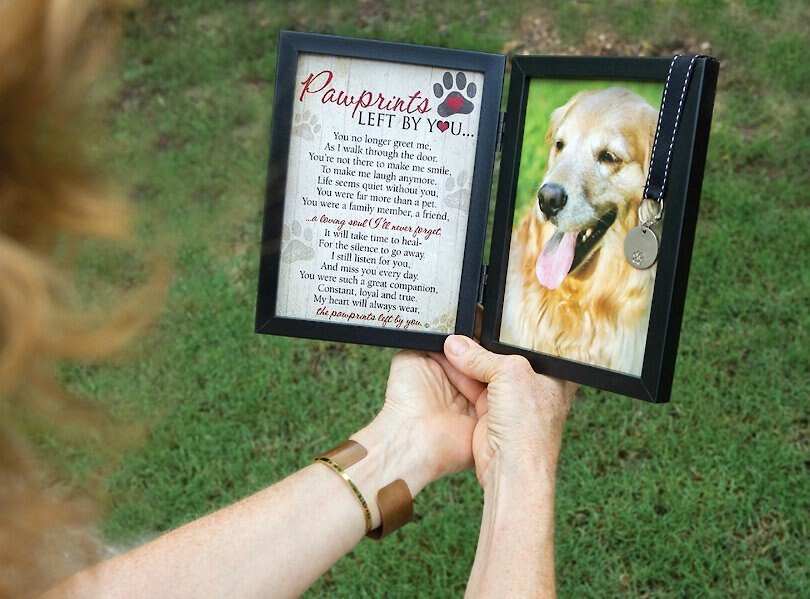 Pawprints Left by You Dog Picture Frame， 5 x 7