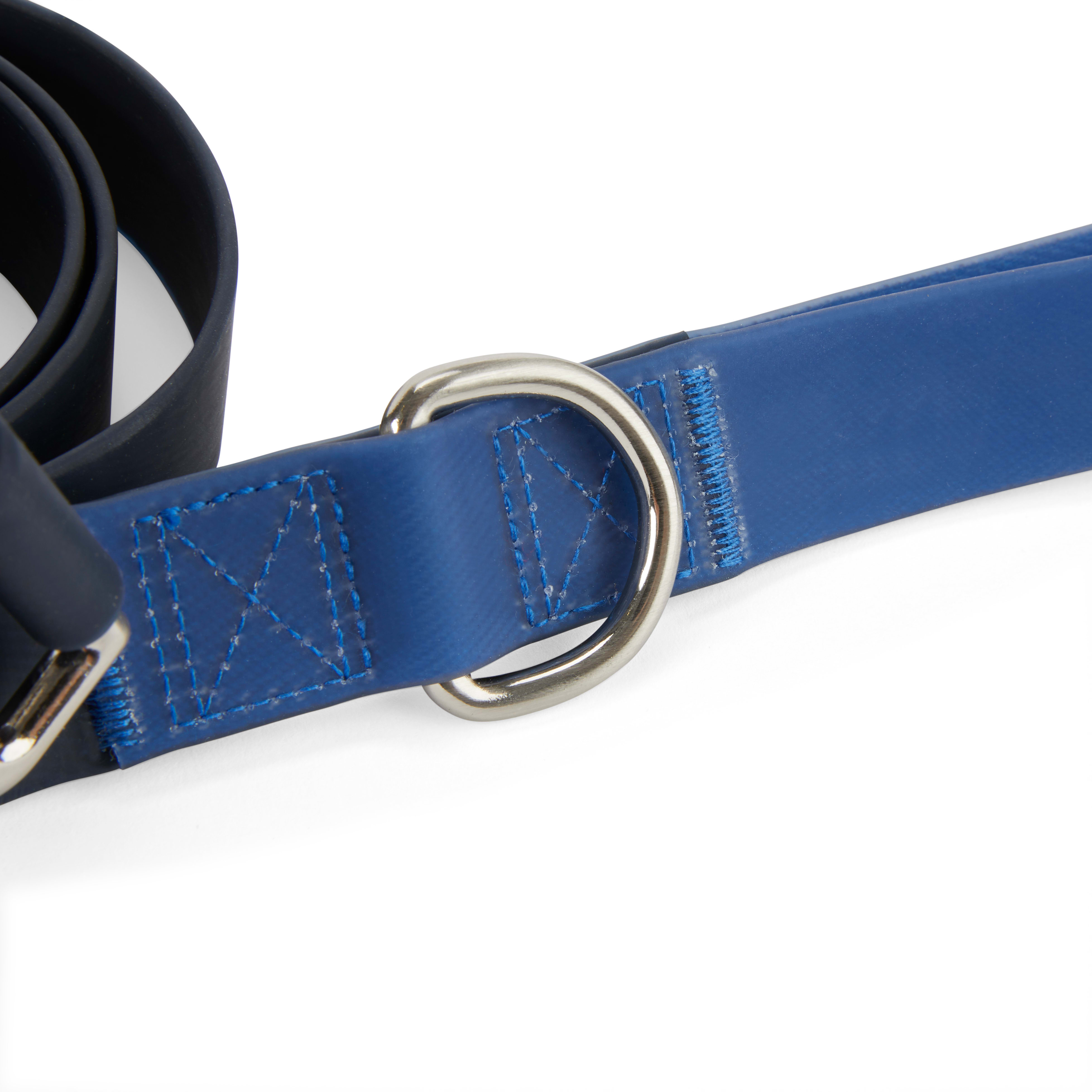 YOULY The Trailblazer Blue Wipeable Dog Leash， 6 ft.