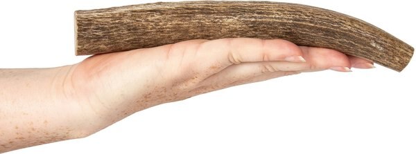 K9warehouse Elk Antlers Large Whole Dog Chew Treat