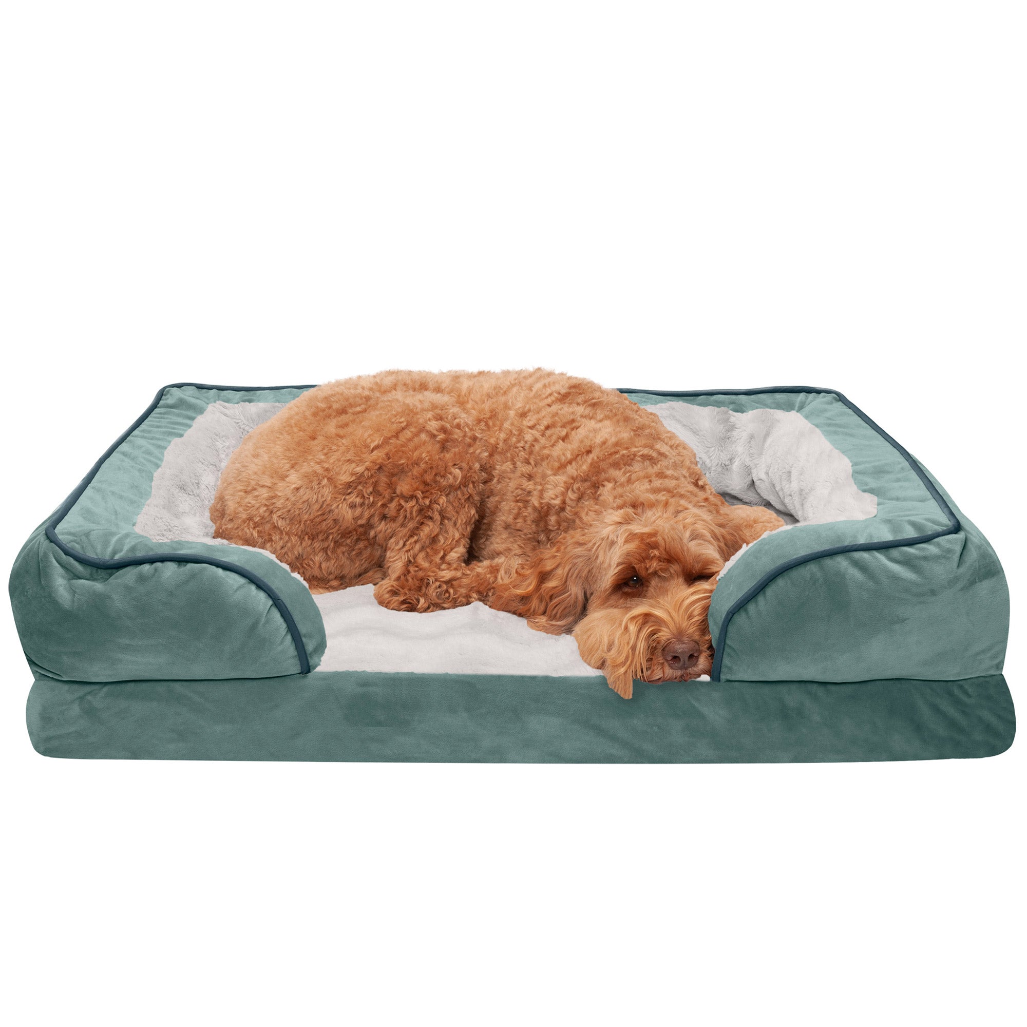 FurHaven Pet Products | Full Support Orthopedic Perfect Comfort Velvet Waves Sofa Pet Bed Dogs and Cats - Celadon Green， Large