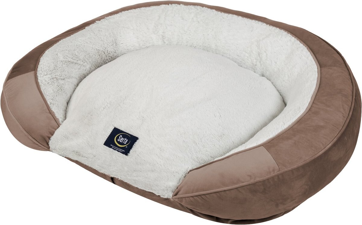 Serta Oval Couch Cat and Dog Bed