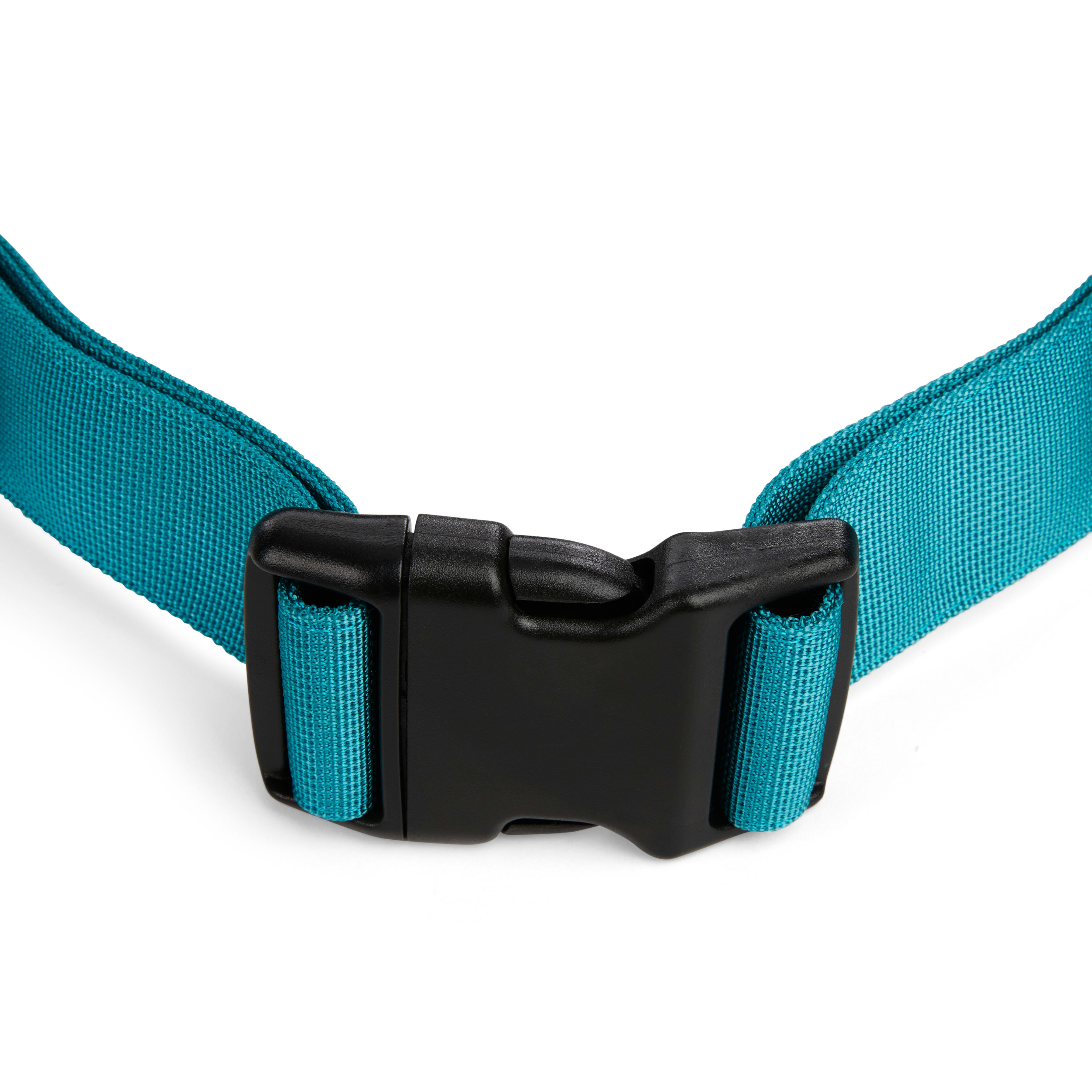 EveryYay Settin the Pace Teal Running Belt  Leash Set for Dogs