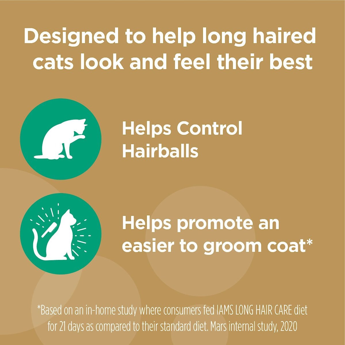 Iams Proactive Health Long Hair Care with Real Chicken and Salmon Adult Dry Cat Food