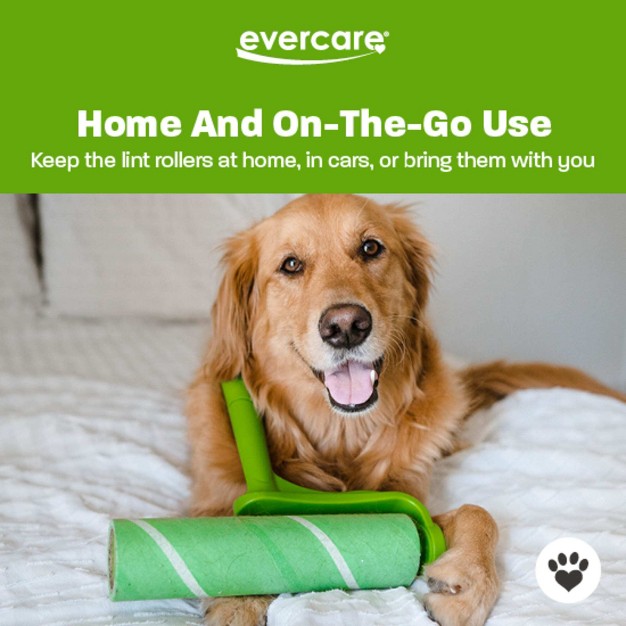 Evercare Pet Mega Handheld Roller Green