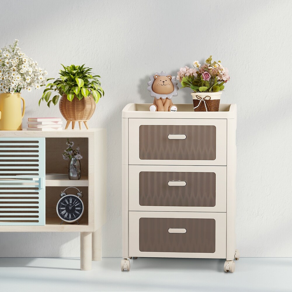 Large Drawer Organizer with Wheels