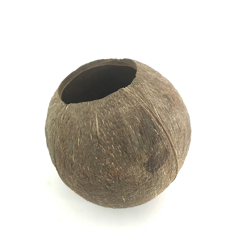 Cheap Price Eco friendly Biodegradable Customized Coconut Bowl Candle Container Natural Garden Supplies Flower Pot